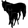 (image for) Horse 13 =