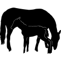 (image for) Horse 14 =