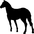 (image for) Horse 18 _