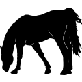 (image for) Horse 1 =