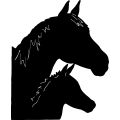(image for) Horse 21 =