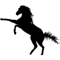 (image for) Horse 23 =