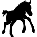 (image for) Horse 24 _