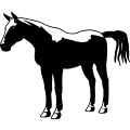 (image for) Horse 25 =