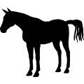 (image for) Horse 25a =