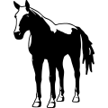 (image for) Horse 26 =