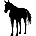 (image for) Horse 26a _