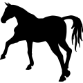 (image for) Horse 28a =