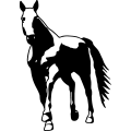 (image for) Horse 29 =