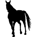 (image for) Horse 29a =