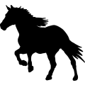 (image for) Horse 2 =