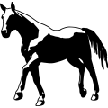 (image for) Horse 30 =