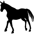 (image for) Horse 30a =