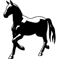 (image for) Horse 31 =