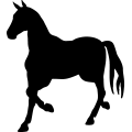 (image for) Horse 31a _