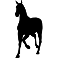 (image for) Horse 32a =