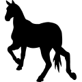(image for) Horse 33a =