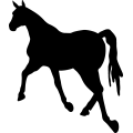 (image for) Horse 34a _