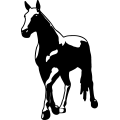 (image for) Horse 35 =