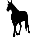 (image for) Horse 35a =