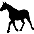 (image for) Horse 36a _