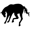 (image for) Horse 39a =