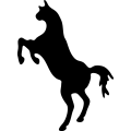 (image for) Horse 43a _