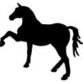 (image for) Horse 44a _