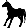 (image for) Horse 47a =