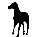 (image for) Horse 48a _