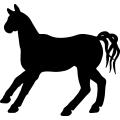 (image for) Horse 49a =