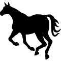 (image for) Horse 54a _