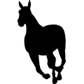 (image for) Horse 55a =