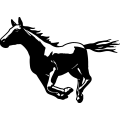 (image for) Horse 56 =