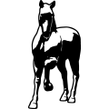 (image for) Horse 58 =