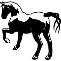 (image for) Horse 59 =