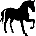 (image for) Horse 60a =