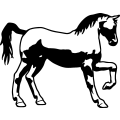 (image for) Horse 61 =
