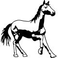 (image for) Horse 63 =