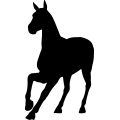 (image for) Horse 65a _