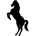 (image for) Horse 6 =