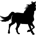(image for) Horse 7 =