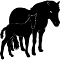 (image for) Horse 8 =
