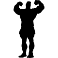 (image for) Muscle Man 3 _
