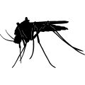 (image for) Bug 1 =