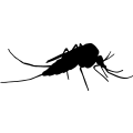 (image for) Bug 3 =