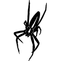 (image for) Bug 9 =