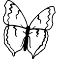 (image for) Butterfly 2 =