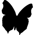 (image for) Butterfly 2a _