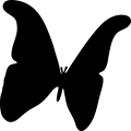 (image for) Butterfly 3a _
